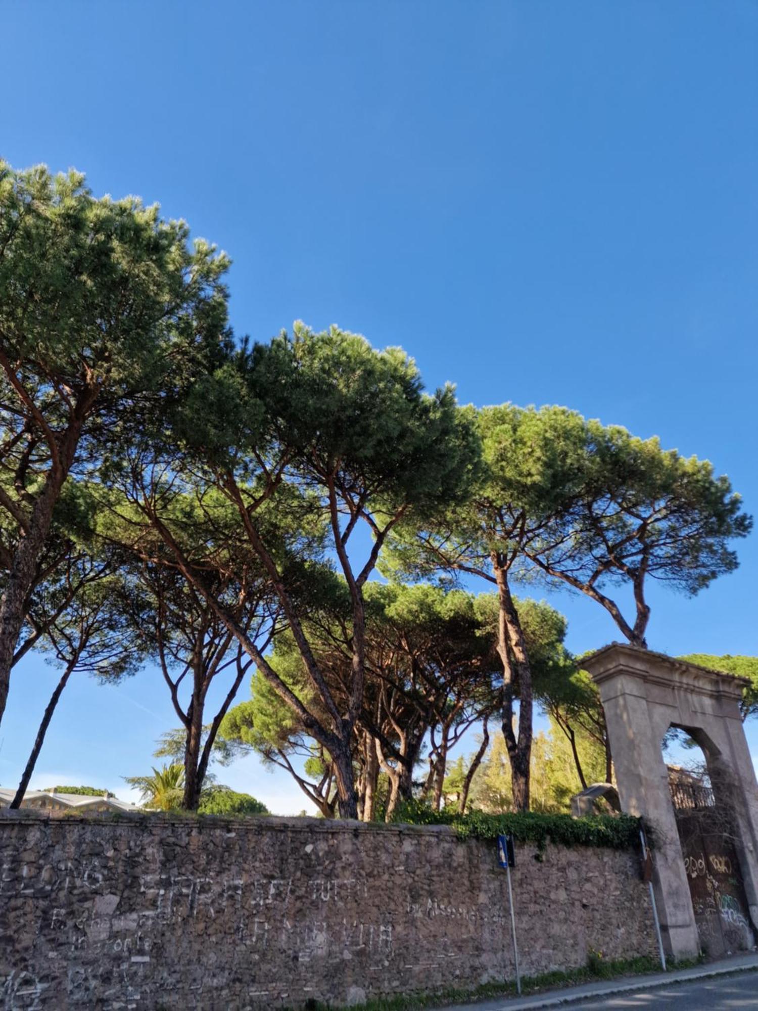 Apartamento Vacanze Romane - Vatican
